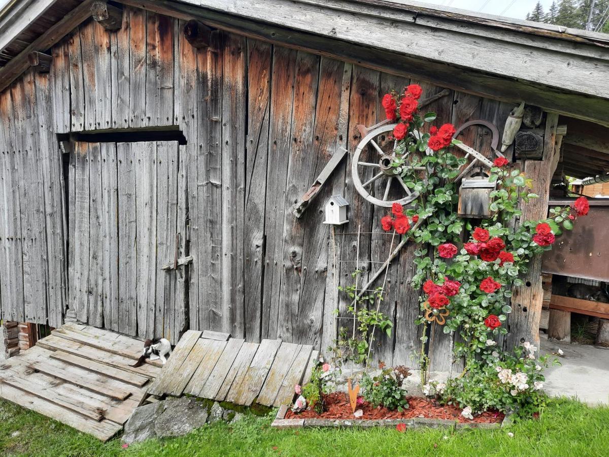 Ferienwohnungen Rieder Gerlos Exterior photo